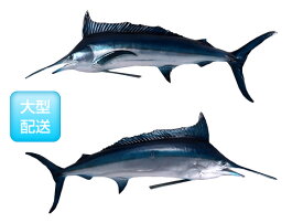 カジキ置物（壁掛け仕様）インテリア動物　サカナおさかなオブジェiブルーマーリン / Blue Marlin【送料無料】
