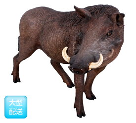 猪置物動物インテリアイボ猪アフリカ産イボイノシシ / African Warthog fr130055