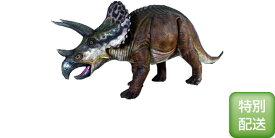 トリケラトプス / Triceratops　fr100048