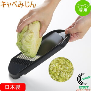 Lx݂ CH-2120 { XCT[ ؂ ݂؂ Jbg Lxc ׂ ֗ObY 炦 Lq DݏĂ `Jc H@OK Y