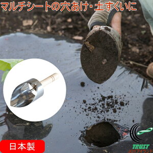 }`Se 36000 RCP { }`Se | K[fjO ƒ؉ ƒ_ _   ֗ OY