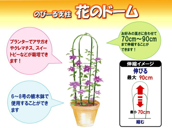 楽天市場 のびーる支柱 伸縮式 花のドーム 植木鉢用 1個入り Rcp 園芸 ガーデン ガーデニング 家庭菜園 観葉植物 庭 支柱 土 野菜 栽培 簡単 便利 店頭受取対応商品 ｊｏｙアイランド