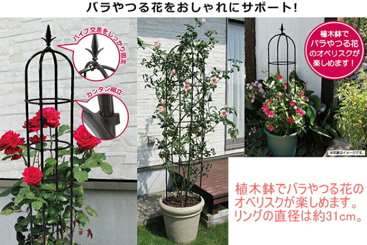 楽天市場 スモールオベリスク 160cm Rcp 園芸 オベリスク ガーデン ガーデニング 家庭菜園 支柱 土 野菜 栽培 簡単 便利 鉢 プランター 店頭受取対応商品 ｊｏｙアイランド