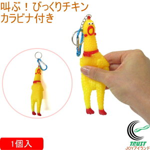 ԁIт`L Jrit 1 206-342 RCP L[z_[ Xgbv  `L  v[g 킢 낢 MO Cxg Jrit