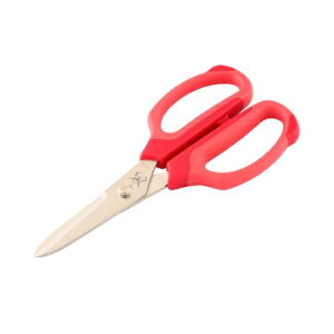 K_ NtgnT~ 1 S2 RCP @mK_  { nT~ NtgnT~ VAEAYiu WIR jbPn c[ H  ؂