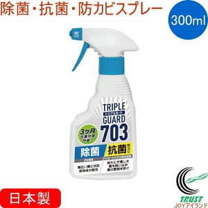 gvK[h703 300ml RCP  { ۃXv[ R Jr\h Xv[ qpi AEghA  oCN X|[c ItBX