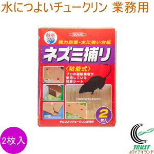 ɂ悢`[N Ɩp 2 { lR|XΉ lY~߂ ˂ l Q S ͔S ϐ^Cv SV[g ݒu zu u^ ߊl 쏜 qI S S Lb` V