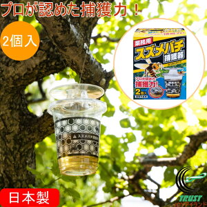 Ɩp XYo`ߊl 2 RCP  XYo` ߊl ߊl ĝ ݂邷 U ގ n` AViKo` RKlV nG K R _ K[fjO