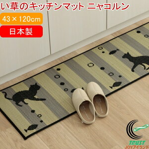 �����̃L�b�`���}�b�g �j���R���� 43×120cm RCP �������� ���Y ���{�� �}�b�g ���ׂ�ɂ��� �C�� ������ �R�� �h�L ���L ��D �L �l�R �˂� �l�R�� �L�� �E���^�� �L�b�`�� �䏊 �V���v�� ���킢