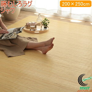 �V�R���^���J�[�y�b�g �W���� �قނ��� ���O�^�C�v 200×250cm RCP �������� �� ���^�� ���O �J�[�y�b�g ���^���J�[�y�b�g ���^���J�[�y�b�g �~�� �� ���R�f�� �V�R�f�� �A�W�A�� ���^�� �Ђ��