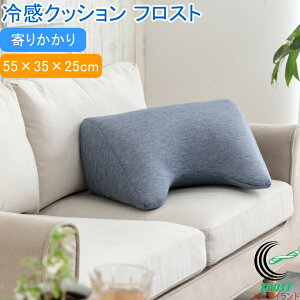 ⊴NbV tXg 肩 55×35×25cm RCP  ⊴ ڐG⊴ w Ђ Vv  rO \t@ 肩 Ǐ w  bNX