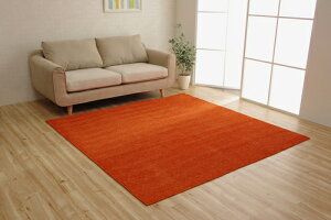 􂦂靛HO fm 3 200×250cm RCP  O }bg  ͂ VFj[D @ m Q rO xbhTCh \t@ J[ybg zbgJ[ybg ׂ~ q