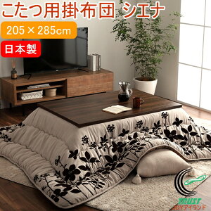 {̂p|zc VGi _[t ` 205×285cm x[W RCP  { _ [t | x zc |zc |GXe XG[h tl ۉ L