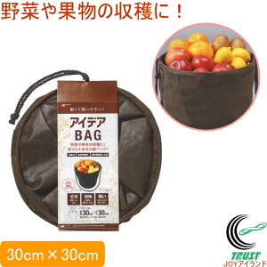 ACfABAG 30cm×30cm F RCP n  ؉ obO \obO ܂肽 y  ʕ np ƒ؉ _Ɠ v