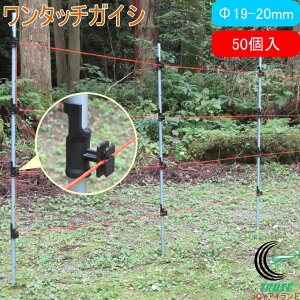 ^b`KCV 50 Oa19-20mmp ubN RCP | K[fjO ƒ؉ ؉ ƒ_   x ͔|   h~ Œ ⏕ hb KCV