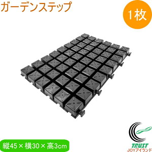 K[fXebv 45×30cm 1 { | |p Ԓd   ؉ _Ɨp _ }bg ʘH}bg A Œ ʂ  n ubN rj[