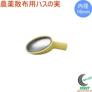 _UzpnX̎ RCP { 傤 |pi _ Uz |CgU nX̎ K[fjO Upi