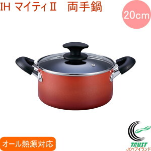 IH}CeB2  20cm RCP  kA~jE IH KX Lb`pi pi  Lb`   A~ ӂfH V Mtg  킢