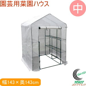 |p؉nEX  RCP  rj[nEX ƒp ^nEX  [ ͔| _ | ؉ J悯 h K[fjO A  It