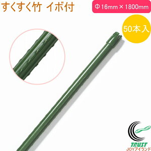 | C{t Oa16mm×1800mm 50{ RCP | |p ؉ _Ɨp x |px ͔| ƒ؉  _ ʕ  P[Xo