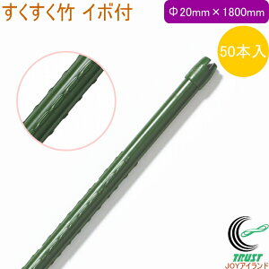 | C{t Oa20mm×1800mm 50{ RCP | |p ؉ _Ɨp x |px ͔| ƒ؉  _ ʕ  P[Xo