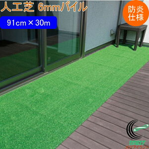 lH ^tgŃ[^Cv ŏ6mm 91cm×30m hdl ^Cv WTS-600 { | |pi K[f K[fjO DIY  x_ oRj[ eX   lH Ő Ő}bg