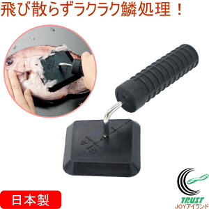 ؃g L RCP  { ChECEco   ؂Ƃ ER юUȂ S ȒP    ֗ S