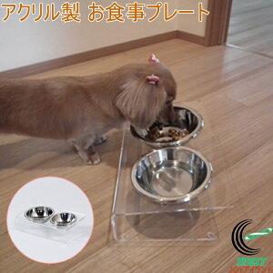 AN Hv[g RۃXeXHt G-547 { O ybgp HX^h ͂ H t[hX^h  L ANX^h XeXH {E M a 