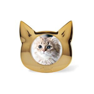 ybgt[ 1 ʐ^ ʐ^ tHgt[ tHg CeAG p ~jTCY  ybg lR L ˂ CAT  Ck  DOG 茳{ S[h Vo[ Mtg v[g L