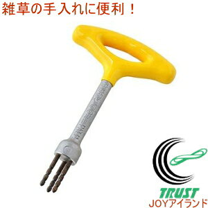 ł ~j 29013 RCP | K[f K[fjO ƒ؉   Ƃ     G 