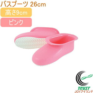 n~Ou[c sN 26cm BT-10 RCP C Cu[c oXu[c  C| {