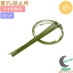 t_h~O  5Zbg RCP | K[f K[fjO ƒ؉ ϗtA x y  ͔| ȒP ֗  |