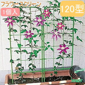 楽天市場 観葉植物 支柱 プランター 植木鉢 プランター ガーデニング 農業 花 ガーデン Diyの通販 楽天市場 観葉植物 支柱 プランター 植木鉢 プランター ガーデニング 農業 花 ガーデン Diyの通販