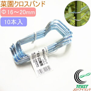 ؉NXoh 10{ Oa16`20mmxp RCP | K[fjO ƒ؉ ؉  ƒp x ͔|   h~ Œ ⏕ A ȒP