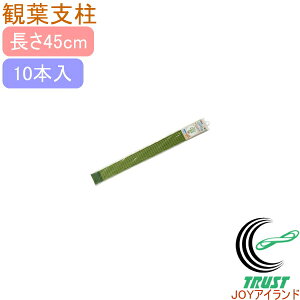 ϗtx 45cm 10{ RCP | K[fjO ƒ؉ ϗtA ƒp ͔| x A A v^[ ȒP y ֗