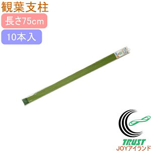 ϗtx 75cm 10{ RCP | K[fjO ƒ؉ ϗtA ƒp ͔| x A A v^[ ȒP y ֗