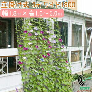 Lk΂̃J[e 3m Ch1800 |^Cv RCP | K[fjO ƒ؉  O[J[e   XN[ ȃGl GR Ռ   悯 ډB