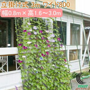 Lk΂̃J[e 3m Ch800 |^Cv RCP | K[fjO ƒ؉  O[J[e   XN[ ȃGl GR Ռ   悯 ډB