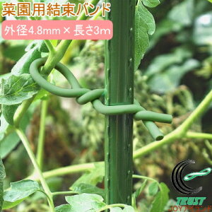 園芸 支柱 3mの人気商品 通販 価格比較 価格 Com 園芸 支柱 3mの人気商品 通販 価格比較 価格 Com