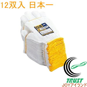 R { 12oZbg No5 RCP  ĂԂ Ԃ Oe Ɨp  Ɨp | jH