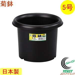 菊鉢 5号 ブラック 40個入 RCP 日本製 ケース出荷 園芸 ガーデニング ガーデン 鉢 植木鉢 栽培 プラスチック