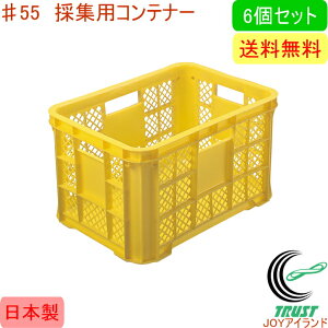 ̏WpRei[ 55 6Zbg RCP ꕔn摗 { | K[fjO ƒ؉ ƒ_ _  n n bV ςݏd Rei