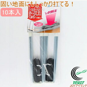 V[gZbg 10{ RCP  Œ ~ߋ   s V[g }` h 悯 h sDz gl ؉ yO