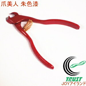 ܔl  jbp^ܐ؂ F  ؃P[X RCP { PAObY PA  ܐ؂  lC e jbp[ MԒb  a a  F