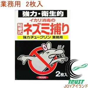 ̓`[NƖp 2 RCP lR|XΉ lY~ Q S ͔S V[g ݒu zu u^ ߊl 쏜 qI S S CJ