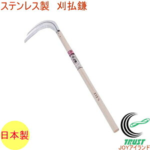 m XeX No3210 RCP { XeX | K[fjO ƒ؉       G