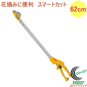 X}[gJbg62cm No.367 RCP | K[fjO  ͂ nT~ } }؂oT~ }؂΂ }  y