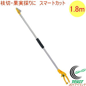X}[gJbg180cm No.368-1 RCP | K[fjO  ͂ nT~ } }؂oT~ }؂΂ }  y