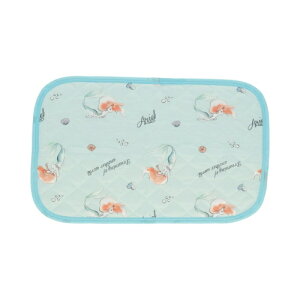 Ђ薍pbh 43×63cm 1  pbh Jo[ Soht  Ђ ⊴  ΍  q xr[ Q  킢 LN^[ ƂȂ̃gg Wu NX