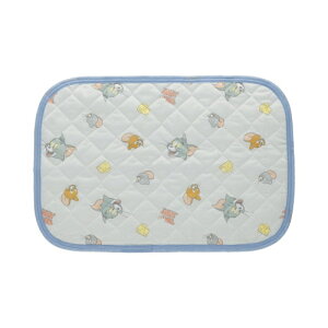 Ђ薍pbh 43×63cm 1  pbh Jo[ Soht  Ђ ⊴  ΍  q xr[ Q  킢 LN^[ ƂȂ̃gg Wu NX